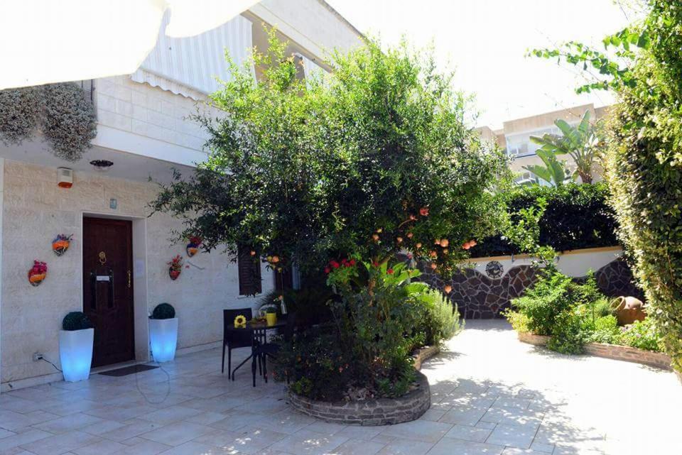 Profumo Di Mare B&B Галиполи Екстериор снимка